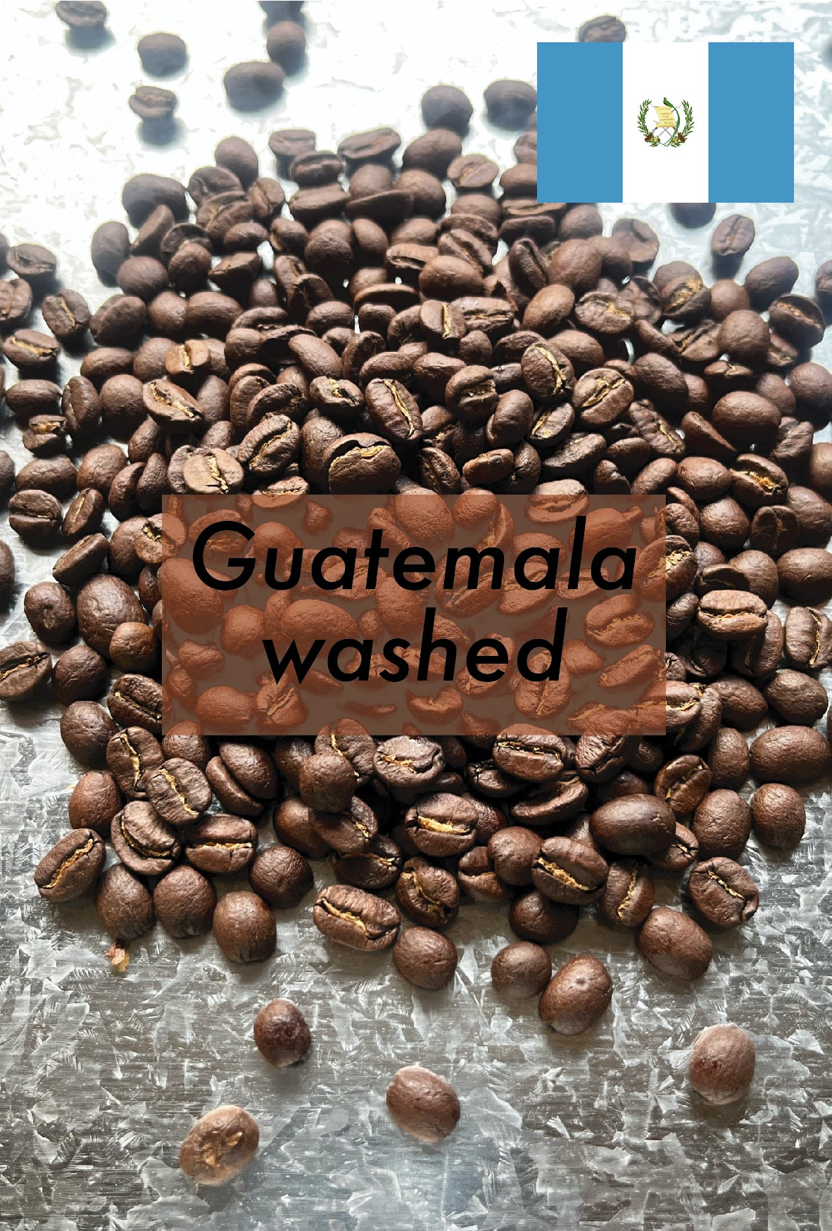 Guatemala (high-city roast/中煎り)