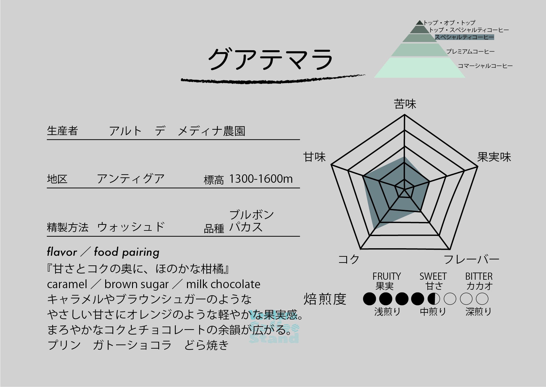 Guatemala (high-city roast/中煎り)