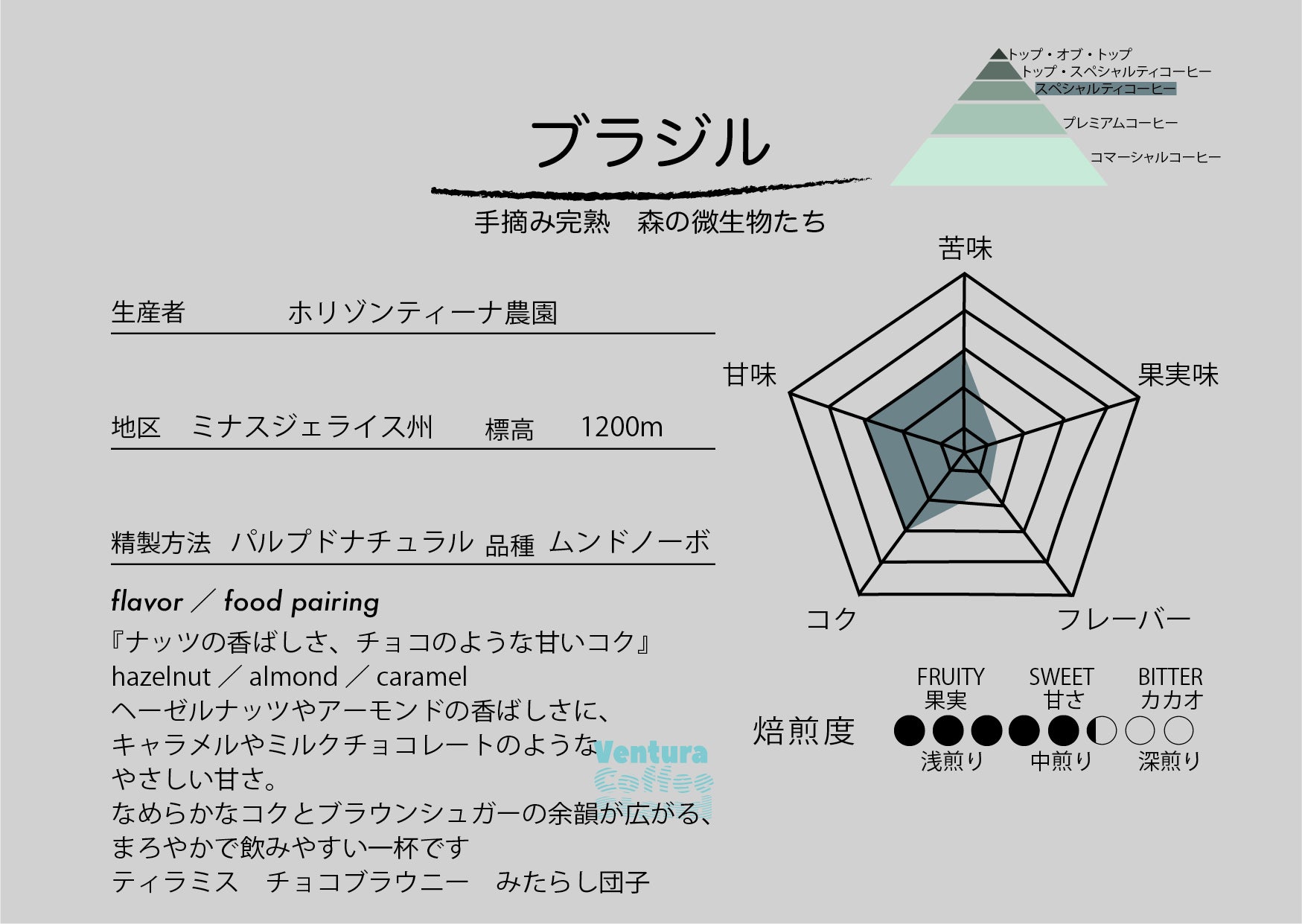 Brazil (city roast/中煎り〜中深煎り)