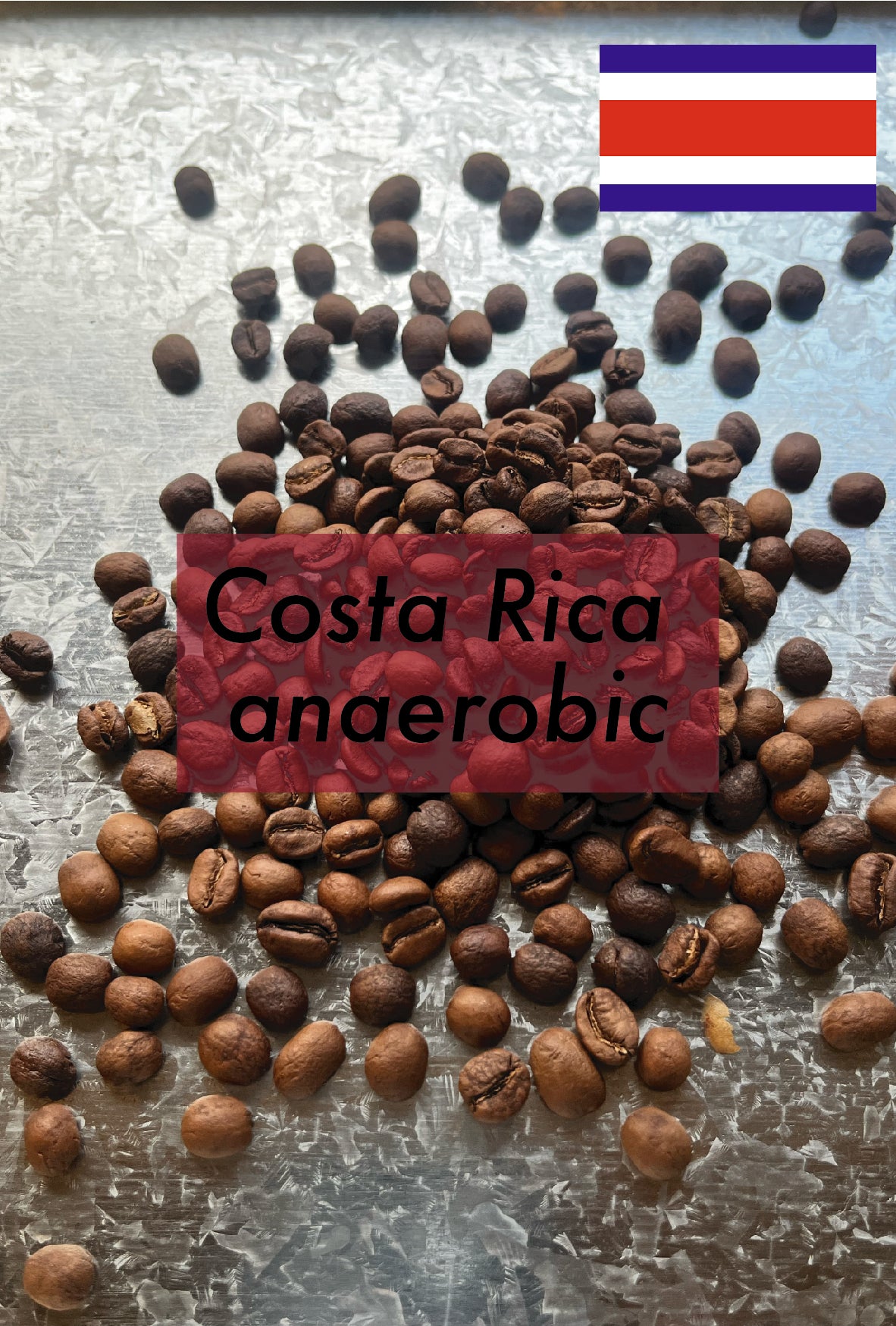 Costa Rica (medium roast／浅煎り)
