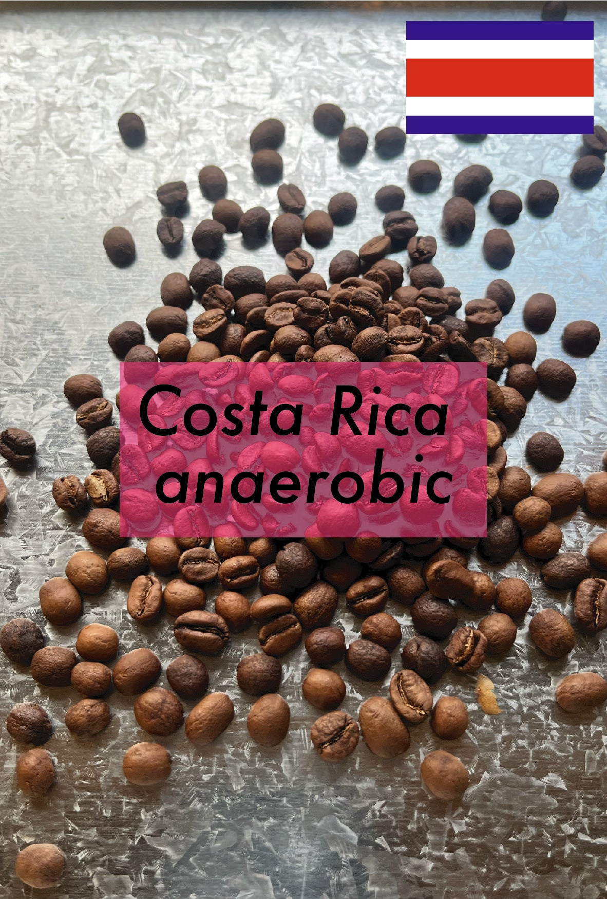 Costa Rica (light roast／浅煎り)